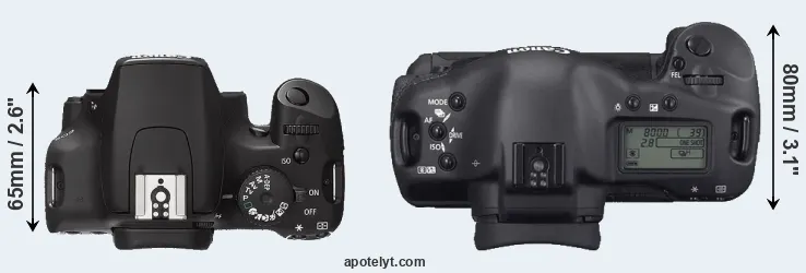 Compare 1000D versus 1D Mark II N top