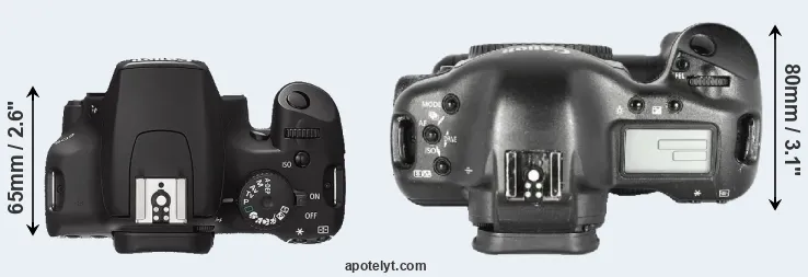 Compare 1000D versus 1D Mark II top