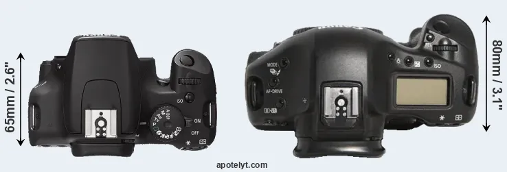 Compare 1000D versus 1D Mark III top