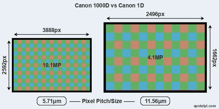 1000D versus 1D MP
