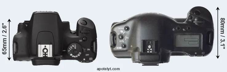 Compare 1000D versus 1D top