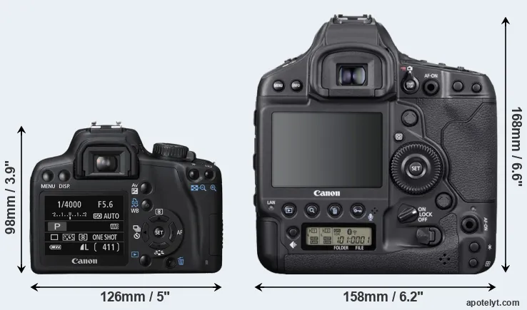 Comparison 1000D or 1DX Mark III rear