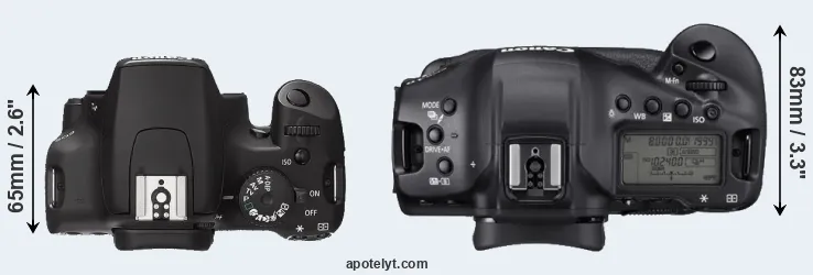 Compare 1000D versus 1DX Mark III top