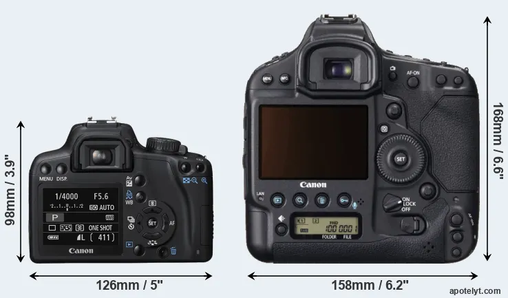Comparison 1000D or 1DX rear