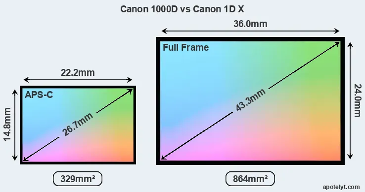 Canon 1000D and Canon 1D X sensor measures