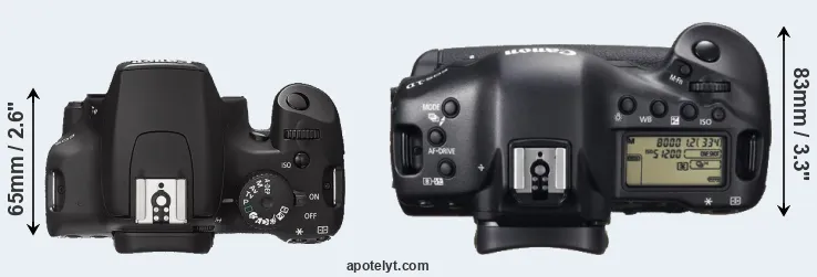 Compare 1000D versus 1DX top