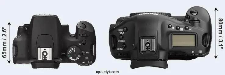 Compare 1000D versus 1Ds Mark II top