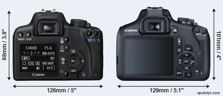 Comparison 1000D or 2000D rear