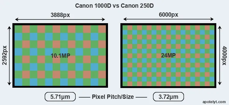 1000D versus 250D MP