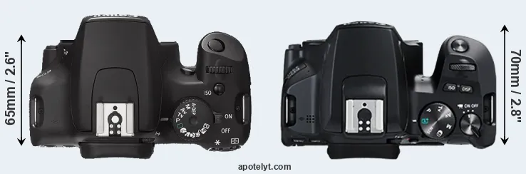 Compare 1000D versus 250D top