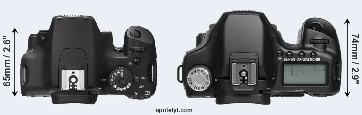 Compare 1000D versus 50D top