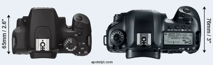 Compare 1000D versus 5D Mark IV top