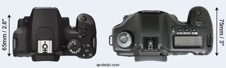 Compare 1000D versus 5D top