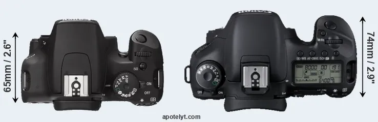 Compare 1000D versus 7D top