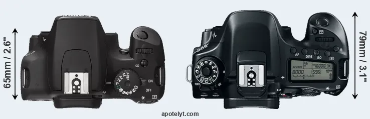 Compare 1000D versus 80D top