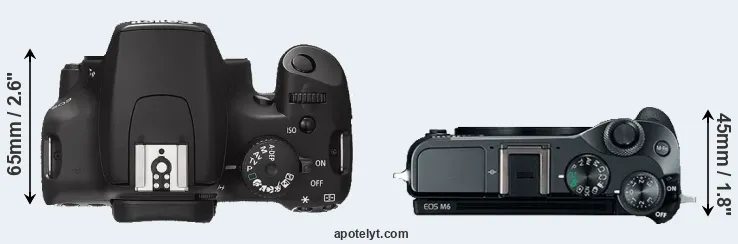 Compare 1000D versus M6 top