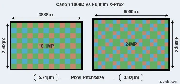 1000D versus X-Pro2 MP