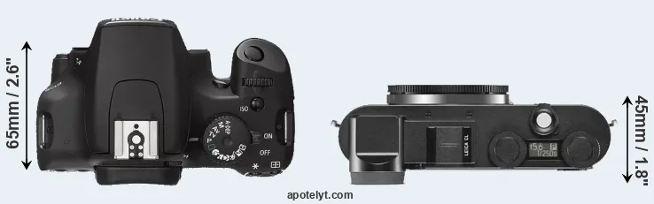 Compare 1000D versus CL top