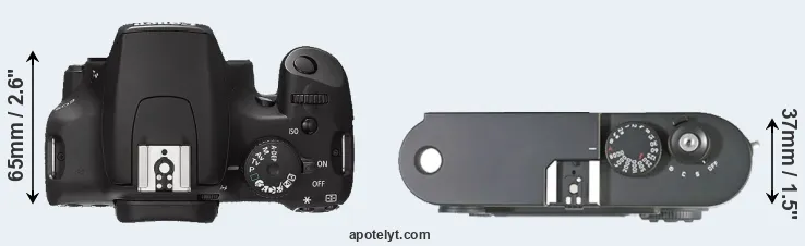 Compare 1000D versus M8 top