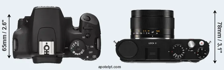 Compare 1000D versus X Typ 113 top