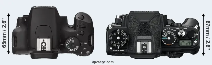 Compare 1000D versus Df top