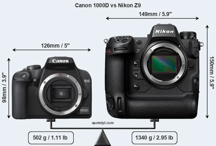 Size Canon 1000D vs Nikon Z9