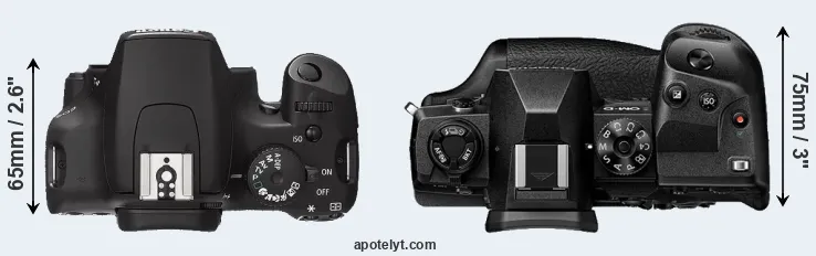 Compare 1000D versus E-M1X top