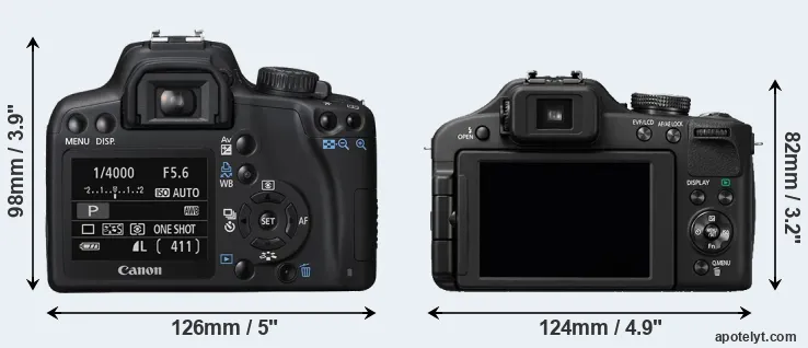 Comparison 1000D or FZ150 rear