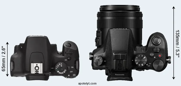 Compare 1000D versus FZ2000 top