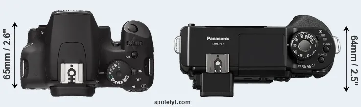 Compare 1000D versus L1 top