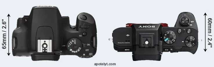 Compare 1000D versus A7R II top