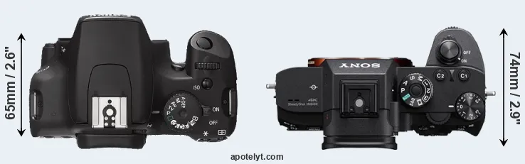Compare 1000D versus A7R III top