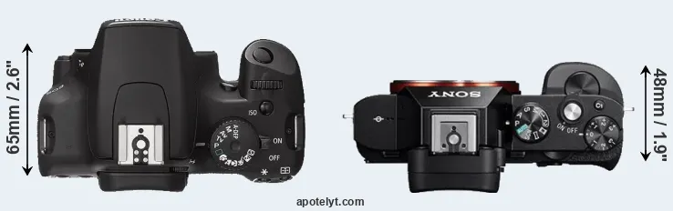 Compare 1000D versus A7R top