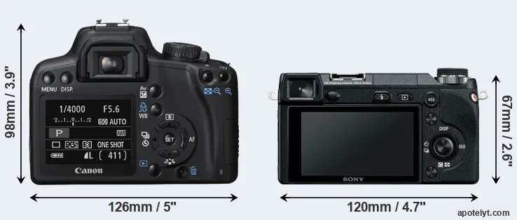 Comparison 1000D or NEX-6 rear