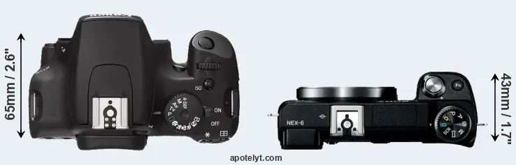 Compare 1000D versus NEX-6 top