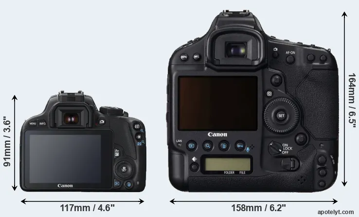 Comparison 100D or 1DC rear