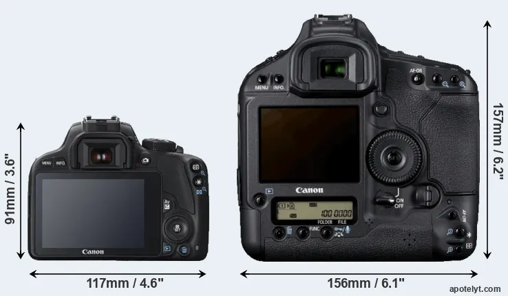 Comparison 100D or 1D Mark IV rear
