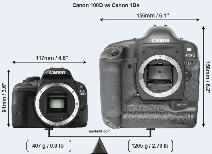 Size Canon 100D vs Canon 1Ds