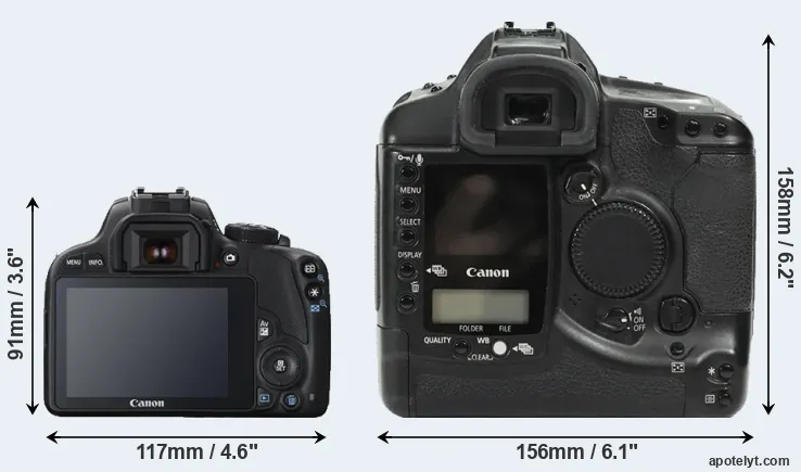 Comparison 100D or 1Ds rear
