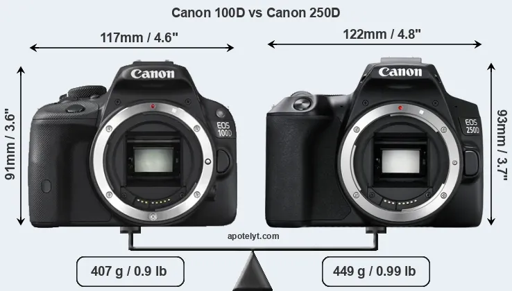 Size Canon 100D vs Canon 250D