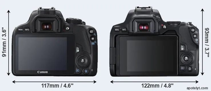 Comparison 100D or 250D rear