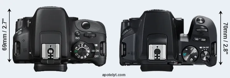 Compare 100D versus 250D top