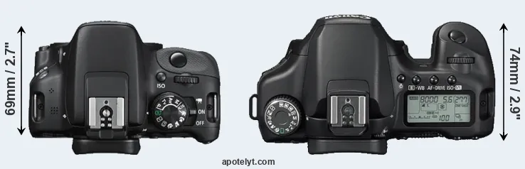 Compare 100D versus 40D top