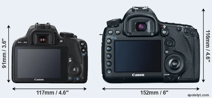 Comparison 100D or 5D Mark III rear