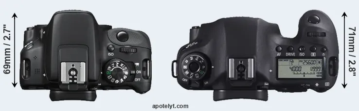 Compare 100D versus 6D top