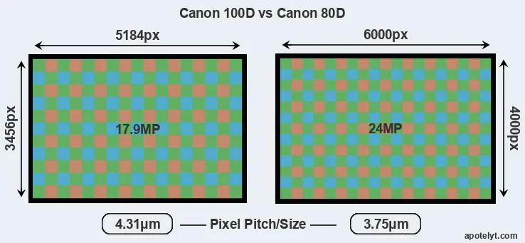 100D versus 80D MP