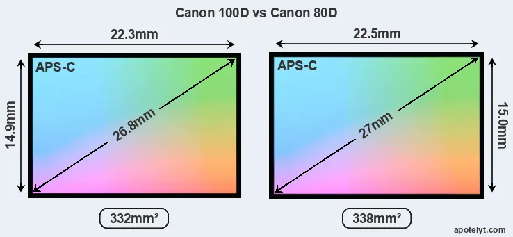 Canon 100D and Canon 80D sensor measures