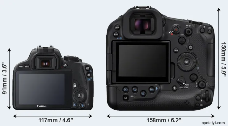 Comparison 100D or R1 rear