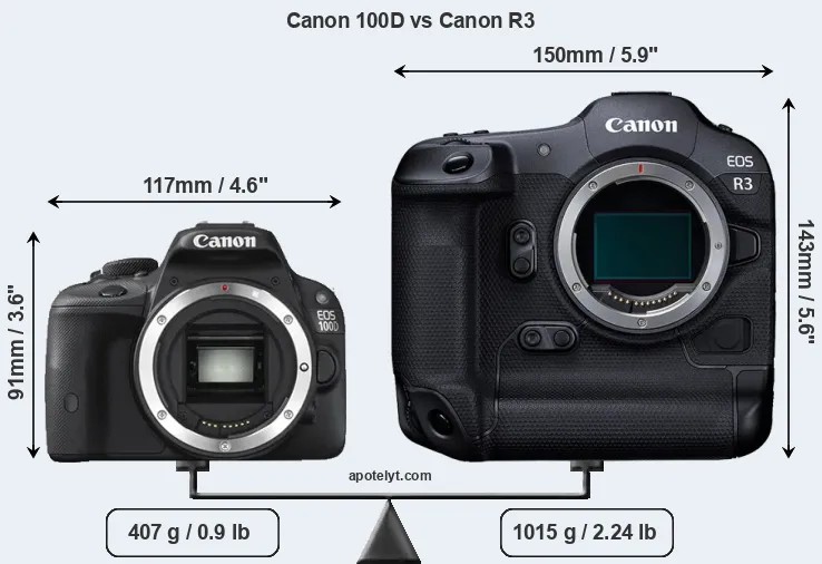 Size Canon 100D vs Canon R3