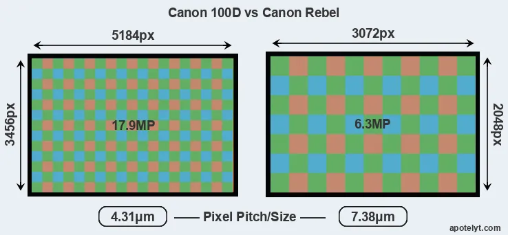 100D versus Rebel MP